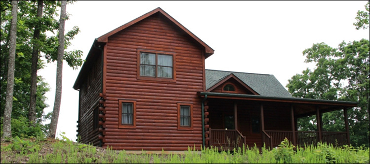 Professional Log Home Borate Application  Highland County, Virginia
